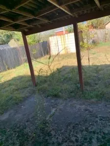 A Yard in Little Rock