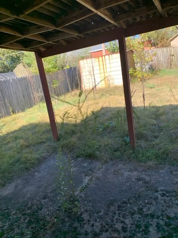 A Yard in Little Rock